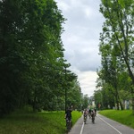 rowerzyści jadący aleją parkową