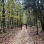 grupa rowerzystów w lesie